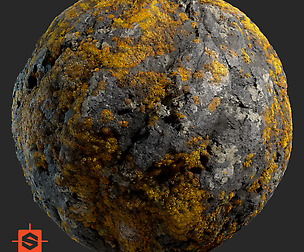 Substance Stone with Yellow Lichen