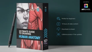 ULTIMATE Anatomy cover