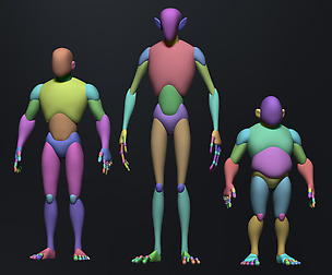 Three different body type startup models