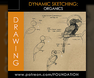 Dynamic Sketching: Organics