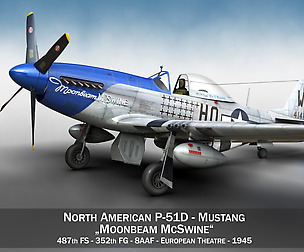 North American P-51D Mustang - Moonbeam McSwine