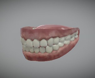 Human teeth