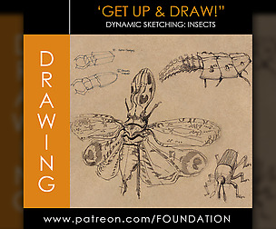 Dynamic Sketching: Insects