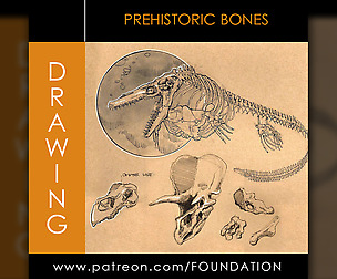 Dynamic Sketching: Prehistoric Bones