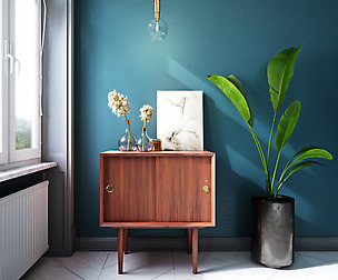 Haydrangea & Credenza Set model
