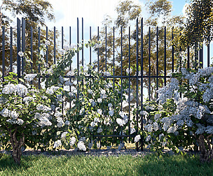 Hydrangeas Set