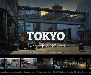 Tokyo - Tsukiji Fish Market 2