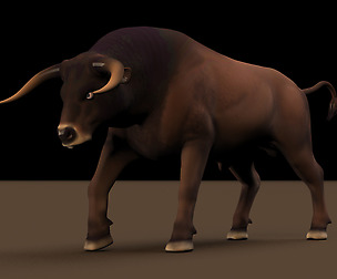 Bull Maya Rig