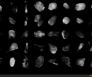52 Fingerprint Alphas
