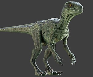 Raptor Dinosaur Maya Rig