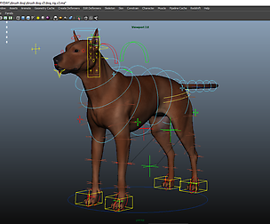 German Pinscher Dog Maya Rig