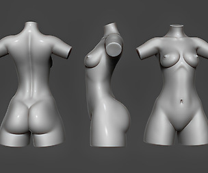 Female Torso 9
