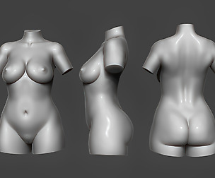 Female Torso 10
