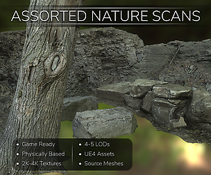 Assorted Nature Scans Pack