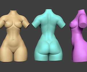 Female Torso 14