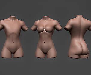 Female Torso 11