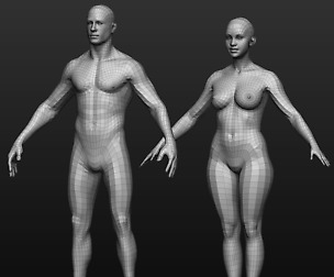 Base mesh male and female body