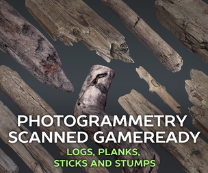 Scanned Logs, Planks, Sticks and Stumps
