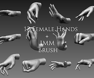 12 Female Hands