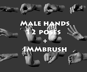 12 Male Hands
