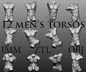 12 mens torsos