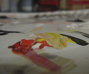 paint i