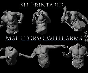 3D Printable Male Torso with Arms