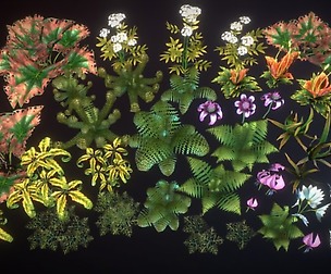 Small plants