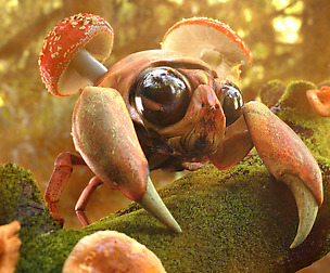 Create an image in 3 days with Maya and Megascan