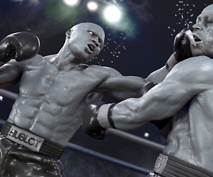 3D Boxing Model