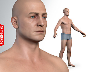 Average Caucasian Male Body