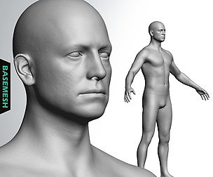 Average Caucasian Male Body Basemesh