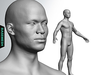 Average Asian Male Body Basemesh