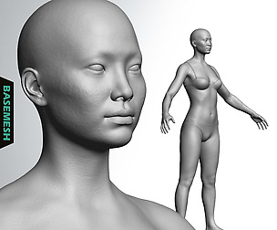 Average Asian Male Body Basemesh
