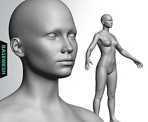 Average Caucasian Female Body Basemesh