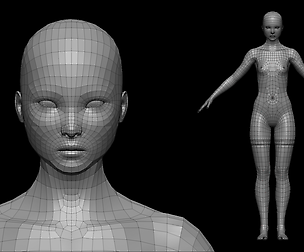 Female Base Mesh - Stockings