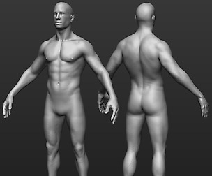 Hi res Male body model