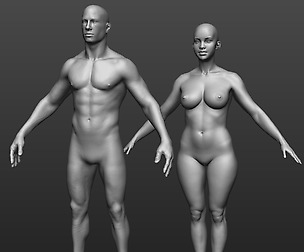 Hi res male and female body