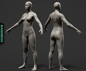 Average Female Body Basemesh