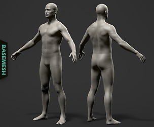 Average Male Body Basemesh