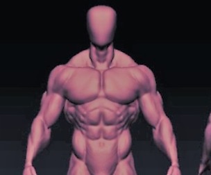 bodybuilder anatomy