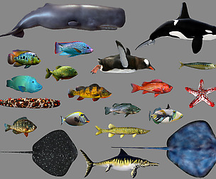 Low poly Fish Collection Animated Pack 3