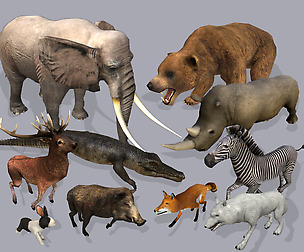 Low Poly Africa Animal Collection - Animated