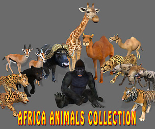 Big Collection Africa Animals - Animated