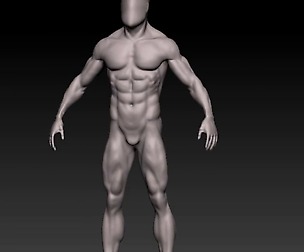 anatomy