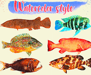 Fish Illustration Collection - Animted Part 2