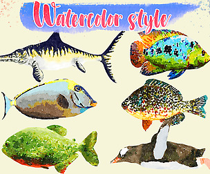 Fish Illustration Collection - Animted Part 3