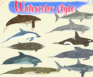 Low Poly Big Fish Illustration Collection Animated