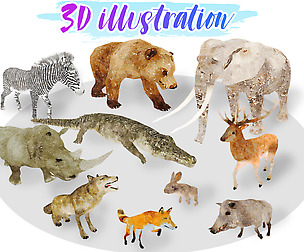 Africa Animal Illustration Animated Part 1