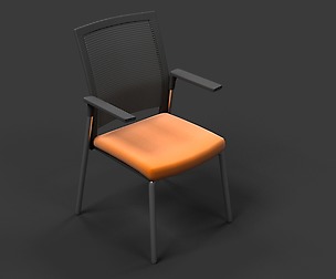 Meeting Chair